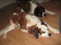 IMG_1067.JPG