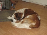 IMG_1366.jpg