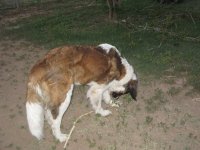 IMG_1384.jpg