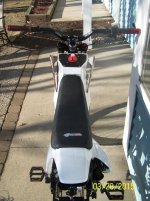 ped10.jpg