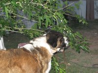 IMG_1779.jpg