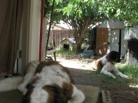 IMG_1849.jpg