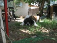 IMG_1851.jpg