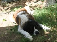 IMG_1852.jpg
