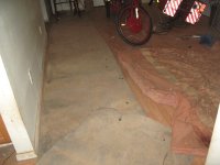IMG_1857.jpg