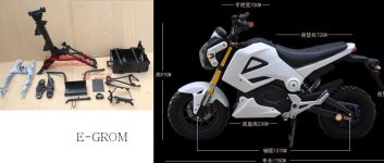 m3小猴子2.JPG