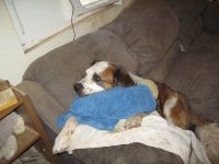IMG_1989.jpg