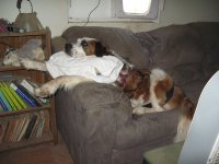 IMG_1961.jpg