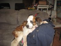 IMG_2021.jpg