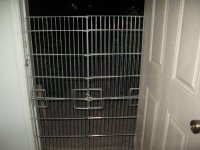 IMG_2141.jpg