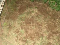 IMG_2124.jpg