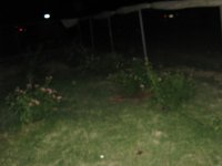 IMG_2129.jpg