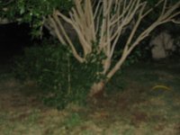 IMG_2130.jpg