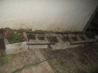 IMG_2133.jpg