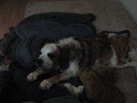 IMG_2228.jpg
