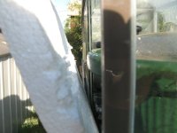 IMG_2341.jpg
