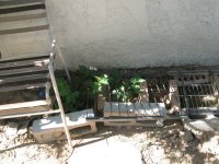 IMG_2363.jpg