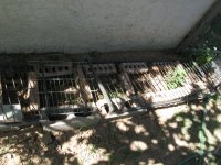 IMG_2364.jpg