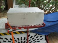 IMG_2437.JPG