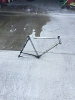 ebike3.jpg