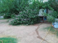 IMG_2529.JPG