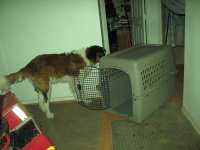 IMG_2697.JPG