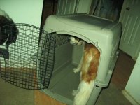 IMG_2698.JPG