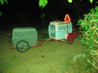 IMG_2802.JPG