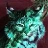 Lynx_Gen