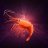 prawn