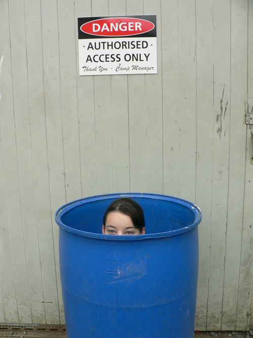 Hiding-in-a-bin.jpg