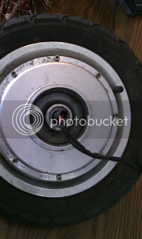 FromCamera266.jpg