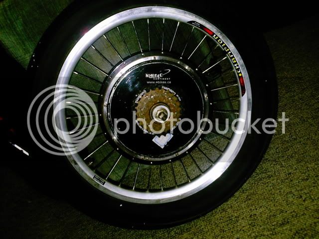 PHOT0014-4.jpg