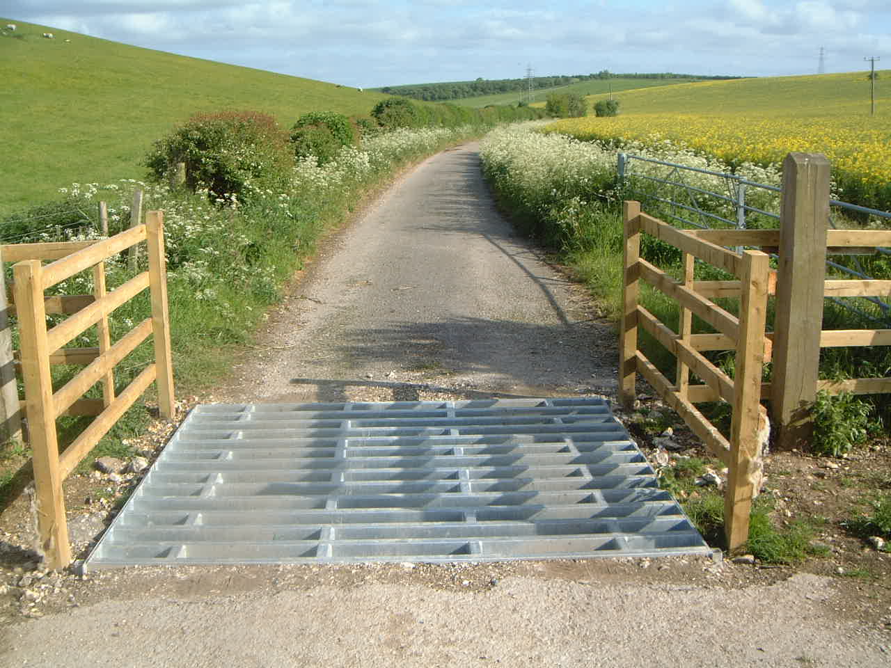 cattle-grid-3.jpg