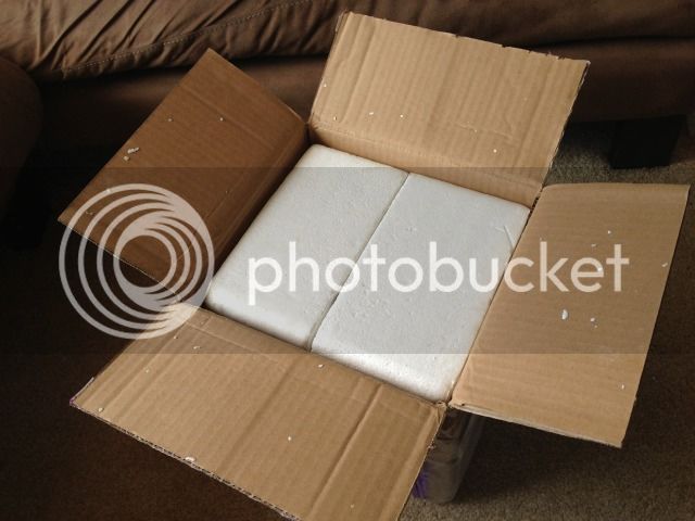 null_zpsdec810b0.jpg