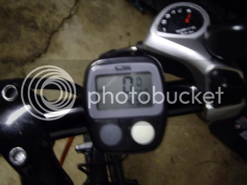 IMGP3549.jpg