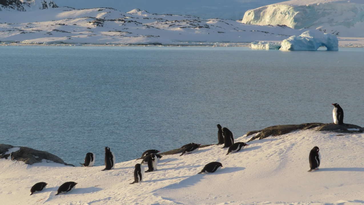 www.noaa.gov