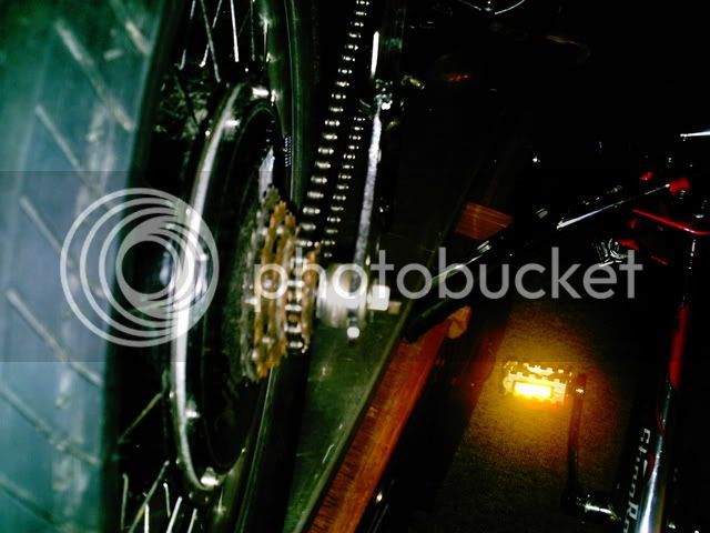 PHOT0011-1.jpg