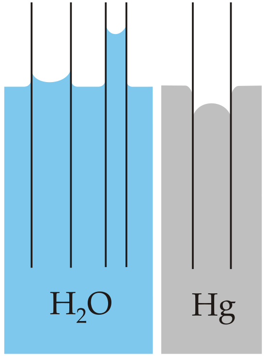 549px-Capillarity.svg.png