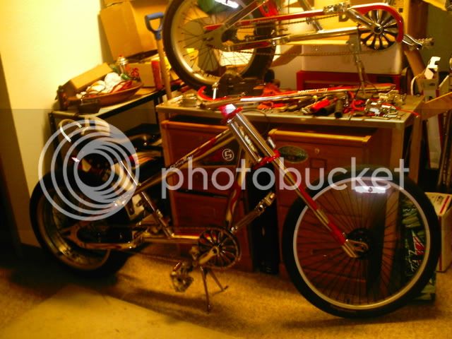 PHOT0008-1.jpg