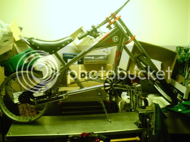 PHOT0028-1.jpg