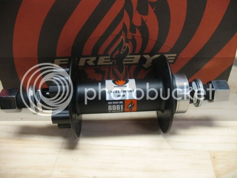 reign3.jpg
