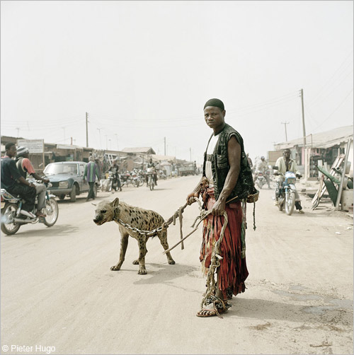 hyena.jpg
