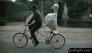 funny-gifs-grandpas-duck-on-a-bike.gif