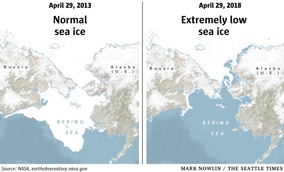Bering-Sea-Ice1-W-960x582.jpg