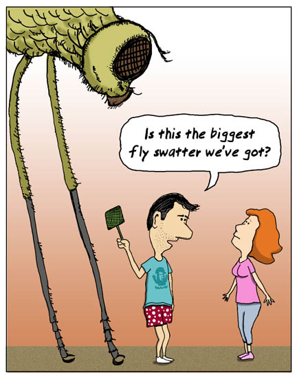 flyswatter1.jpg