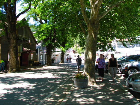 Downieville1.jpg