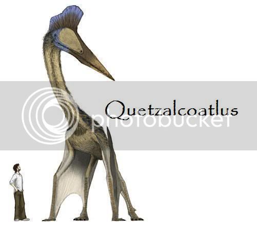 Quetzalcoatlus.jpg