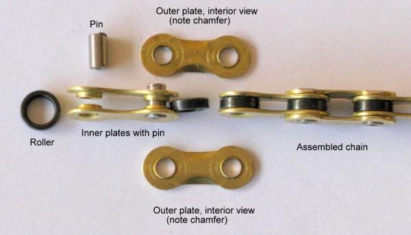 60212-largest_Wippermann_Chain_Anatomy.jpg