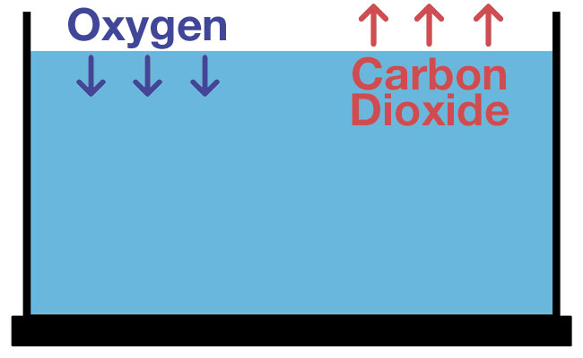 Gas-exchange-of-oxygen-and-carbon-dioxide-in-aquarium-at-surface-water-diagram.jpg